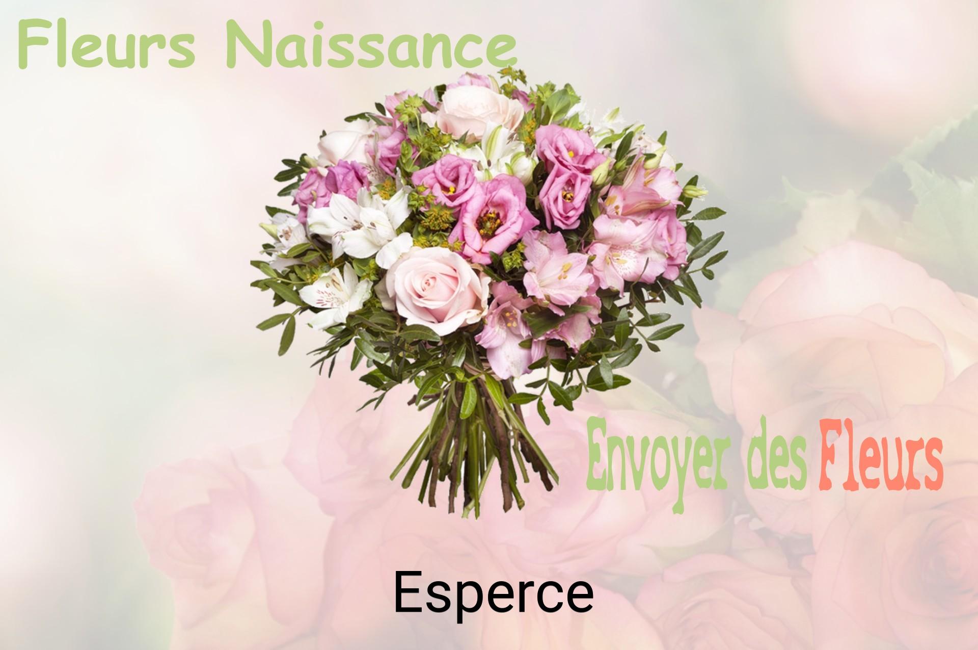Bouquet de fleurs de naissance livré à Esperce