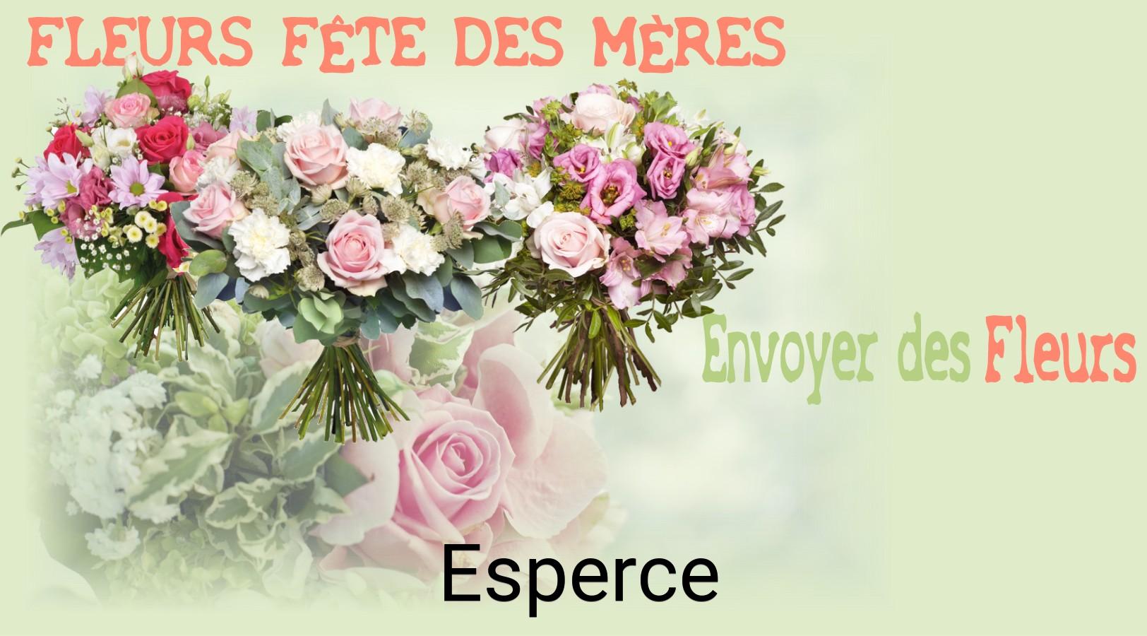 Bouquet de Fête des Mères livré à Esperce